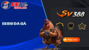 Hướng dẫn chơi đá gà Ee88 chi tiết nhất dành cho người mới 9 Hướng dẫn chơi đá gà Ee88 chi tiết nhất dành cho người mới