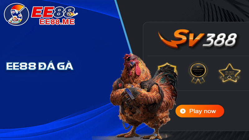 Hướng dẫn chơi đá gà Ee88 chi tiết nhất dành cho người mới 4 Một số lưu ý khi chơi đá gà tại Ee88
