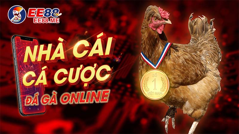 Hướng dẫn chơi đá gà Ee88 chi tiết nhất dành cho người mới 2 Tìm hiểu về đá gà trực tuyến tại EE88