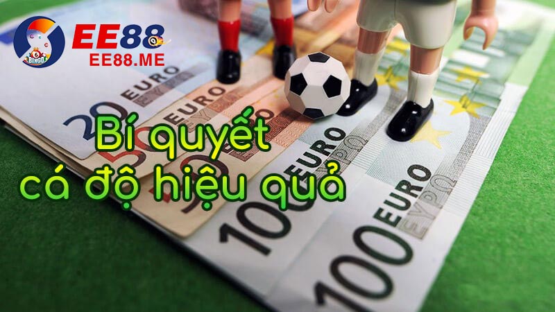 Bí quyết cá cược bóng đá hiệu quả Bí quyết cá cược bóng đá hiệu quả