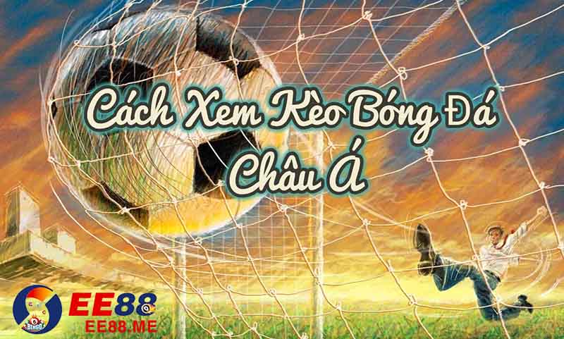 Các hình thức cá cược kèo bóng đá Handicap Các hình thức cá cược kèo bóng đá Handicap