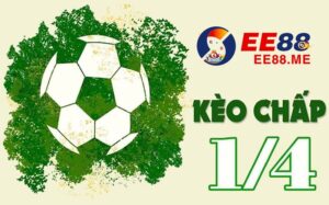 Kèo chấp 1/4 là gì? Những mẹo hay khi đặt cược kèo chấp 1/4 2 Kèo 1/4 là gì? Cách chơi kèo chấp 1/4 trái trong bóng đá