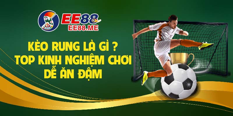 Kinh nghiệm soi kèo rung chuẩn xác nhất Kinh nghiệm soi kèo rung chuẩn xác nhất