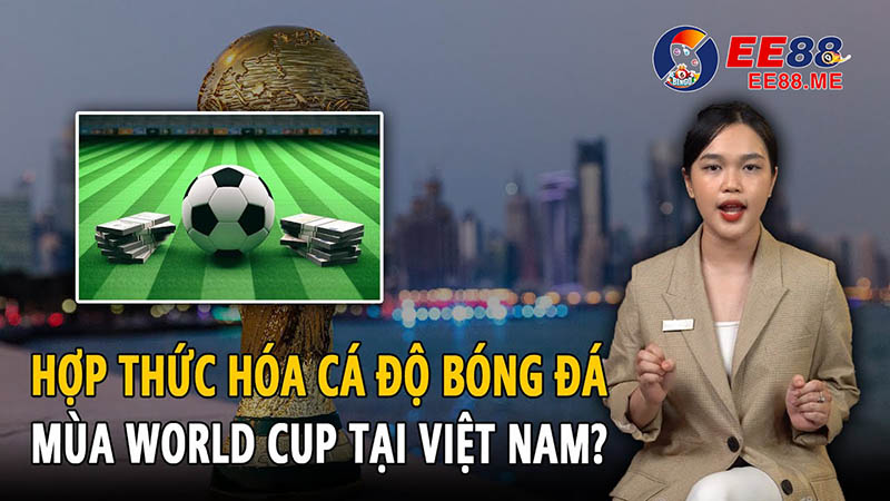 Luật cá độ bóng đá là gì? Luật cá độ bóng đá là gì?